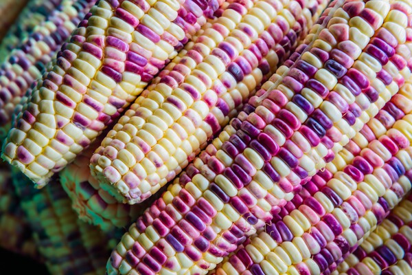 The Health Benefits of Specialty Grains: A Comprehensive Guide