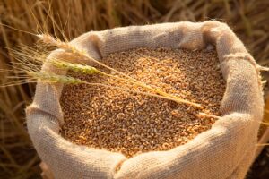 gluten-free grains