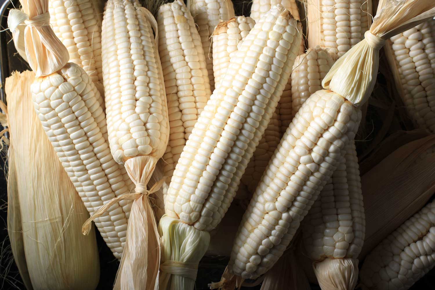 Gluten-Free and Nutritious: The Power of Specialty Grains