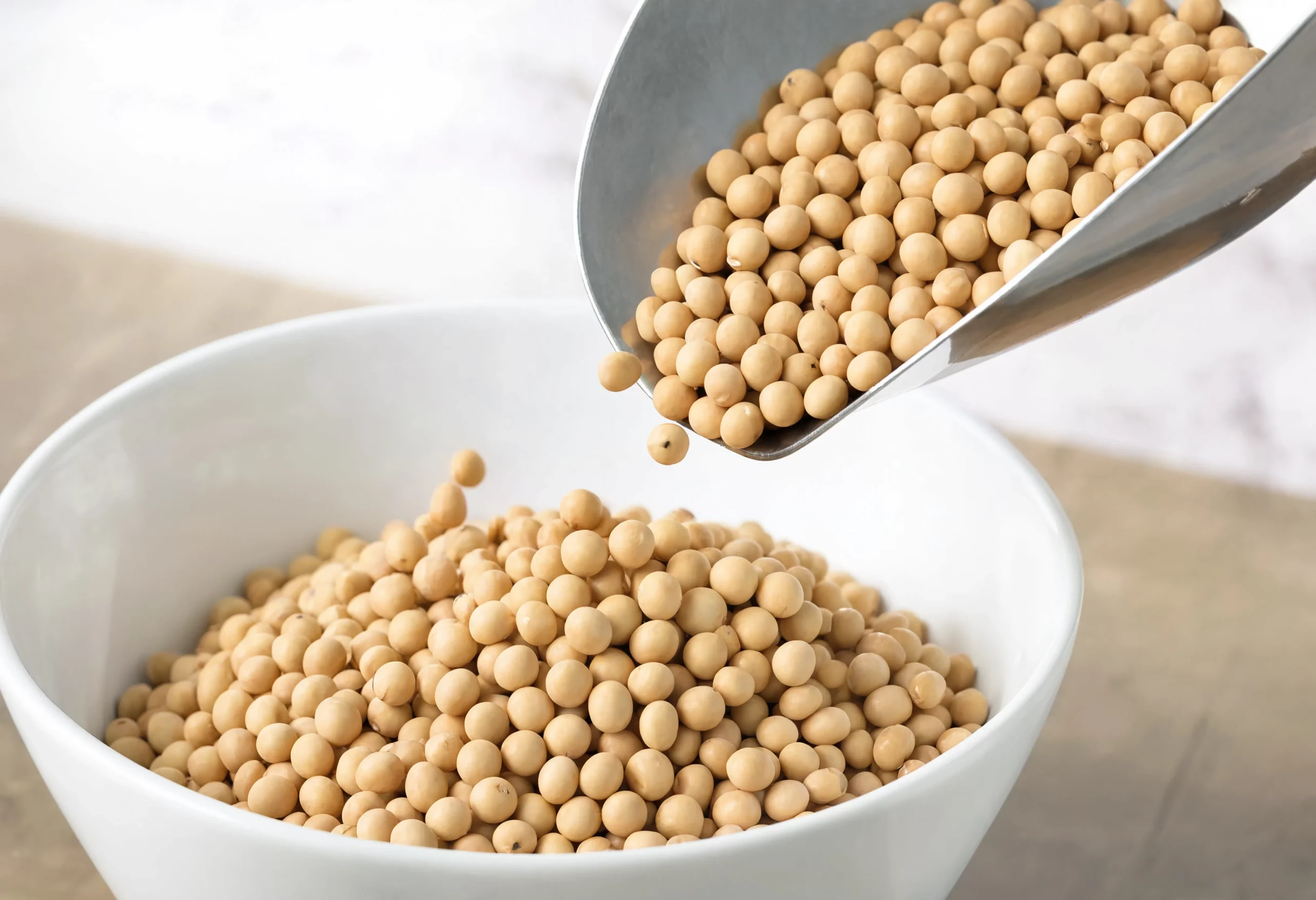 Food-grade soybeans in a stainless steel scoop showing clean grain quality from a food-grade grain supplier