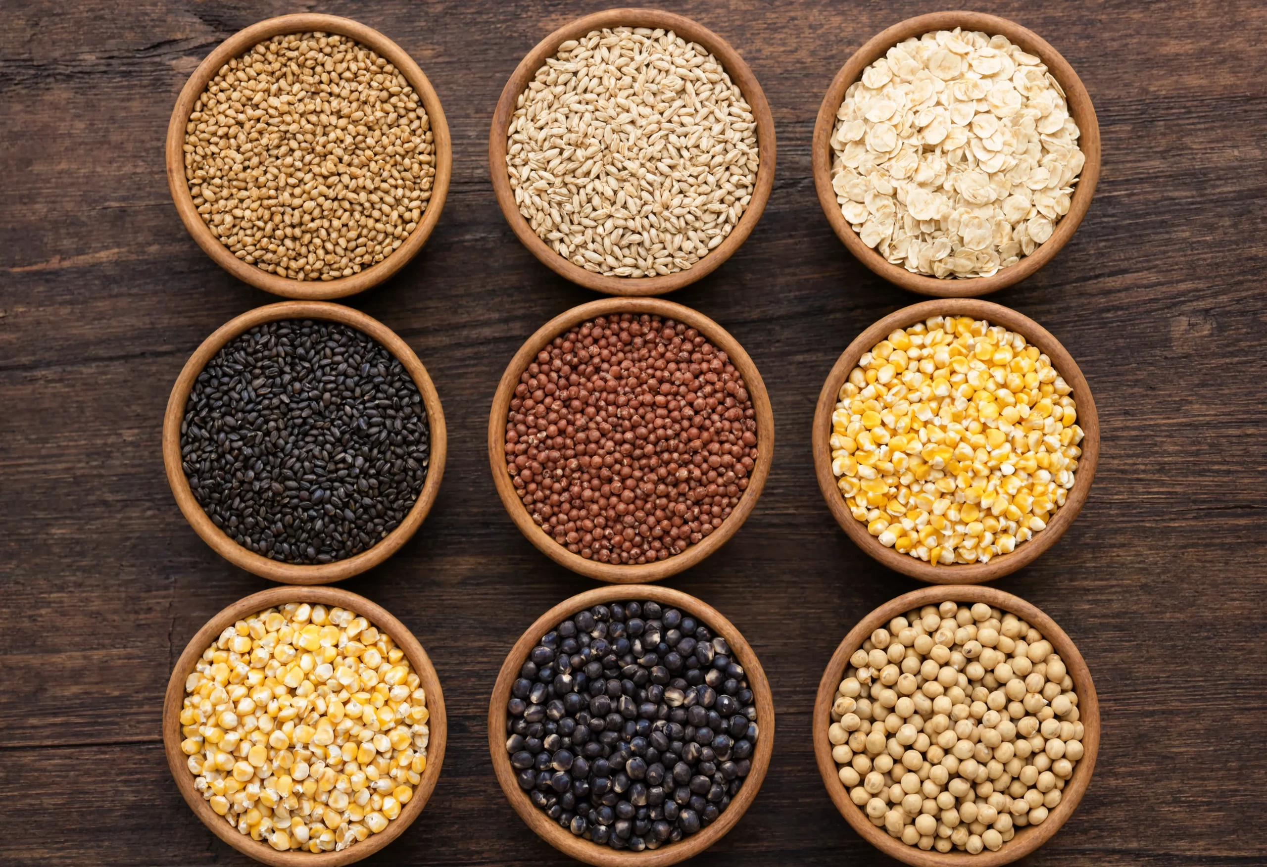 Specialty corn varieties comparison flatlay showing yellow white blue and pink corn kernels side by side