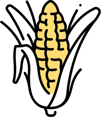 Yellow Corn Icon